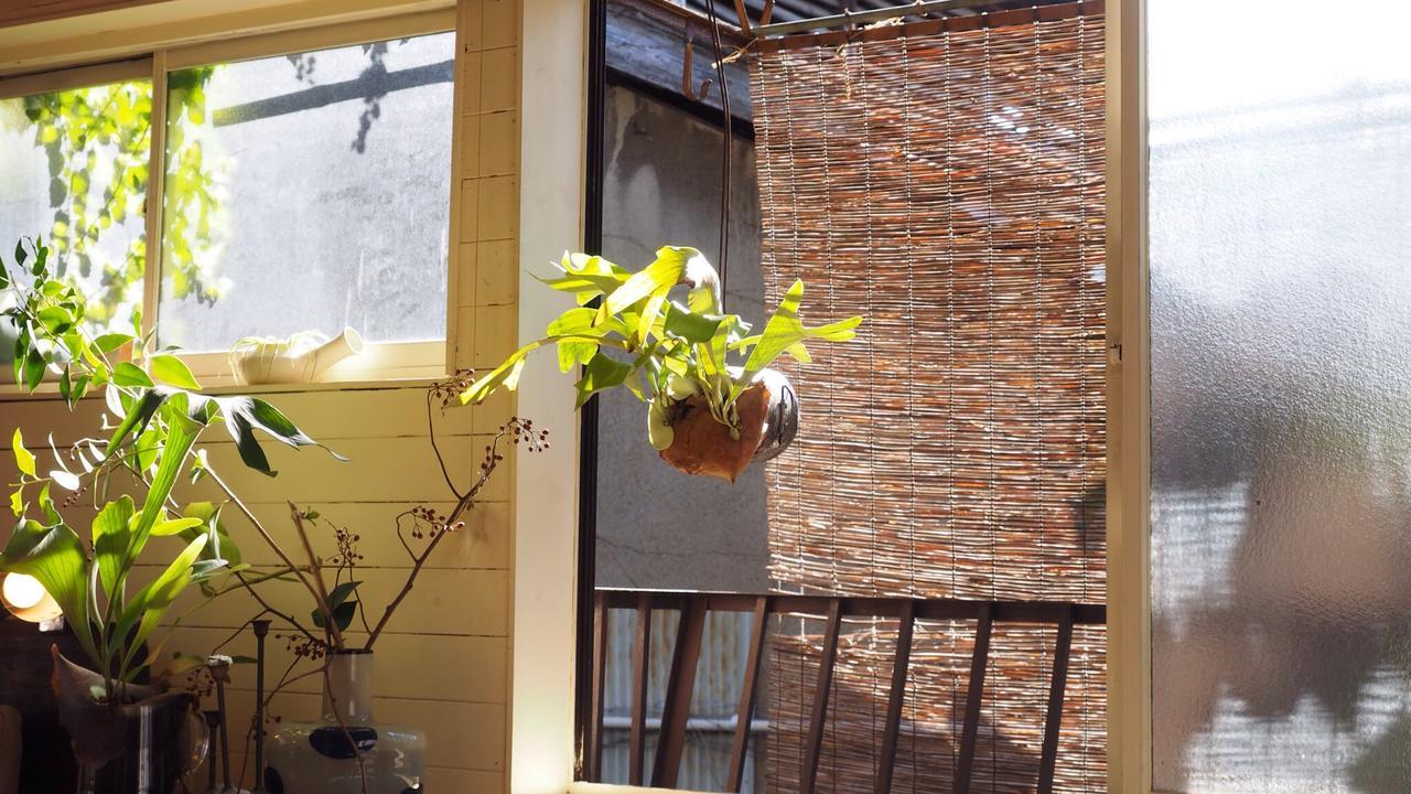 Maison d'hôtes Corsage 2*